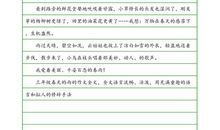 关于春雨的作文：公园的春雨_750字