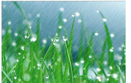春雨的组成：雨中知道时间_550字