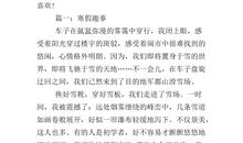 [寒假趣事征文] 大胡子小姐_600字