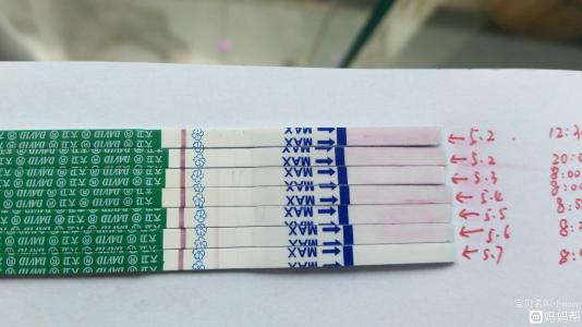 制作仙人掌_300字