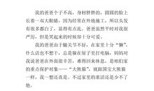 我的“爸爸”_350字