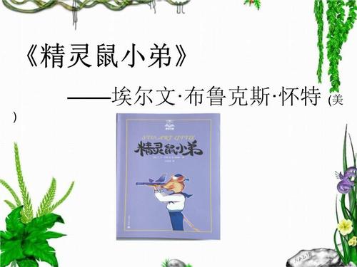 阅读“精灵鼠标青少年”的感觉_350字