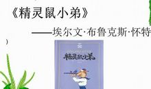 读《精灵鼠小弟》有感_350字