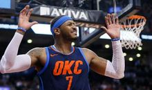 我看奥运会有感_750字