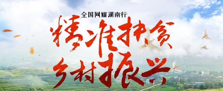世界_800字