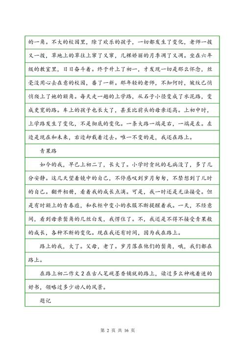 初级II写一个组成：难忘的脸_900字
