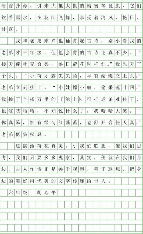 第一次写知：秋叶_600字