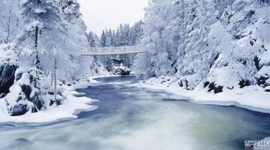 演奏雪的构图：玩雪_350字