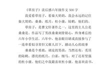 《草房子》有所感悟_650字