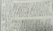 关于玩雪的作文：玩雪_550字