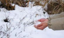 关于玩雪的作文：玩雪_600字