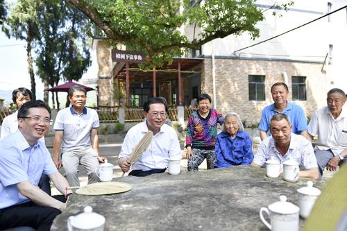 在桉树下的陶梦_500字