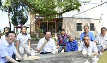 樟树下的陶亚凌_500字