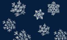 冬天的雪花_400字