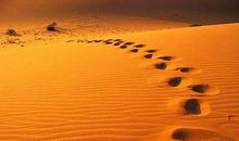 走自己的路_800字