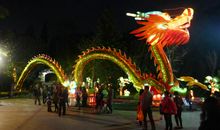 元宵节赏灯_100字