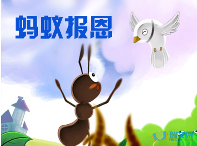 “蚂蚁”阅读后阅读_700字后