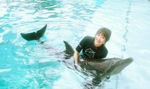 由电影《小鬼当街》中得出的道理_350字