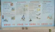 十二月国旗下讲话：专注力就是天才