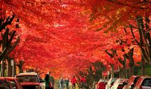 多姿多彩的季节_350字