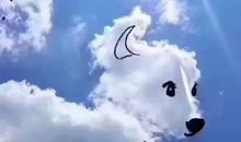 [开学新鲜事儿]“我来啦——”_1200字