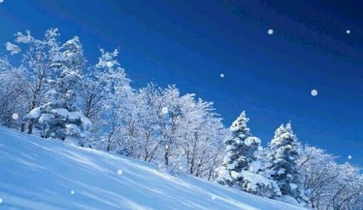 扫地上的组成：扫雪_500字