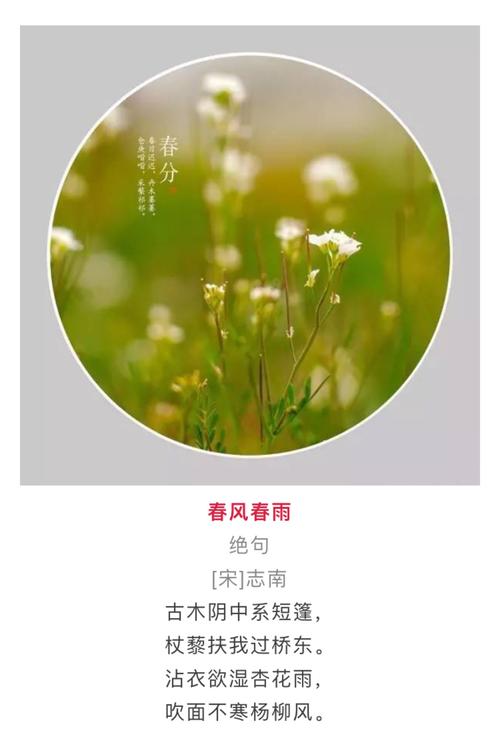 关于春雨的作文：沐浴在春风春雨里_3000字