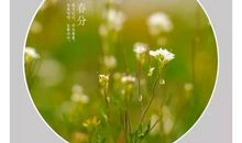 关于春雨的作文：沐浴在春风春雨里_3000字