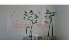 我最爱的宿舍201！_250字