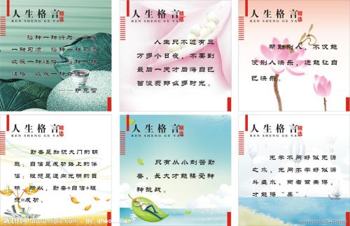 鼓舞人心的美丽段落：生活是自我挫败的_1500字