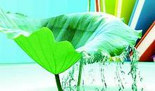 拼搏向上的动力_700字