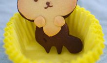 讨饼干的小松鼠_300字