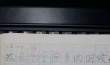 一年级日记：卫士_250字