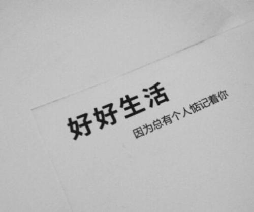 我敦促将军的将军_450字