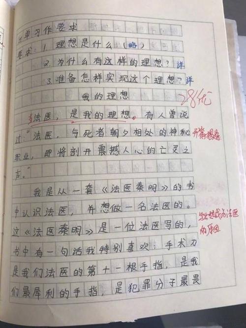 演奏雪的构图：乐于玩雪_400字