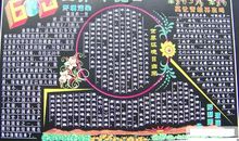 世界环境日黑板报——世界环境日_20字