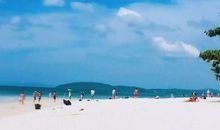 我想去流浪_150字