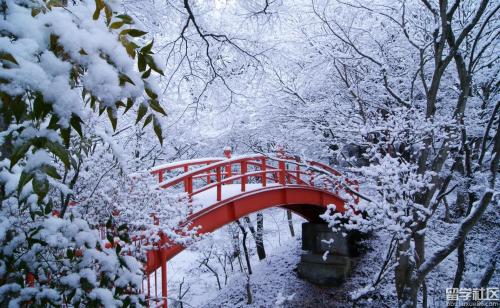 演奏雪的构图：玩雪_900字