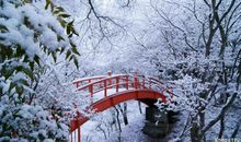 关于玩雪的作文：玩雪_900字