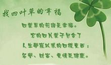 四叶草_450字