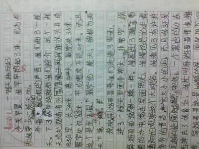 关于秋天的组成：记住秋天_550字