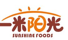 一米阳光_1000字