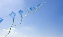 阳光的季节_600字