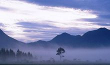 笑看人间苍凉_150字