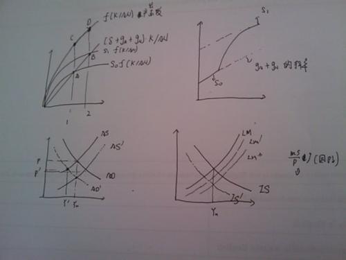 模型白日梦_250字