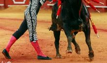 快乐的“斗牛”比赛_450字