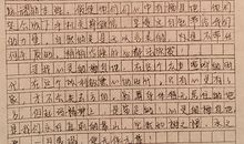 种植物的日记_300字