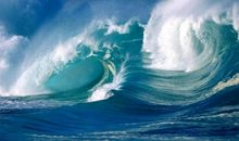 50年后的地球_550字