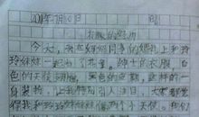 日记一则(2)_250字