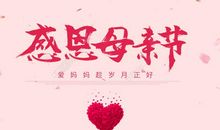 献给母亲的爱_400字